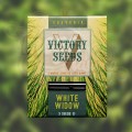 Victory Seeds - White Widow