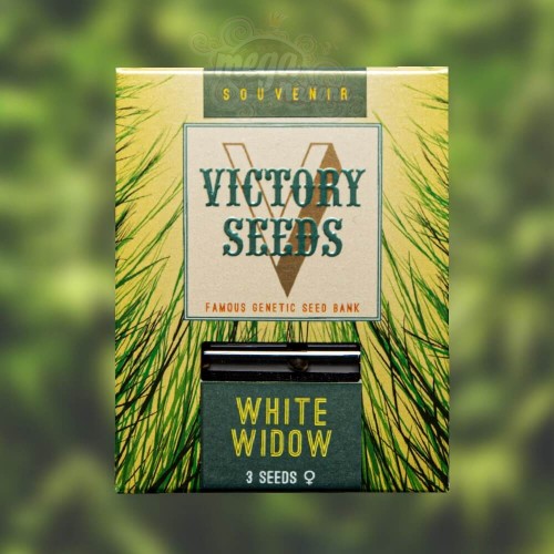 Victory Seeds - White Widow