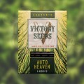 Victory Seeds - Auto Heaven