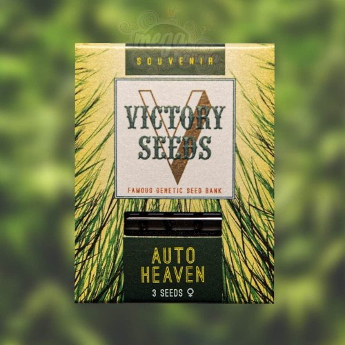 Victory Seeds - Auto Heaven