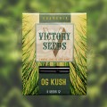 Victory Seeds - OG Kush