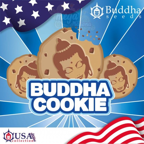 Buddha Seeds - Buddha Cookie