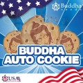 Buddha Seeds - Buddha Cookie Auto