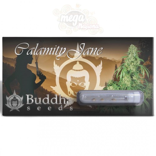 Buddha Seeds - Calamity Jane Auto