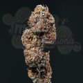 Buddha Seeds - Deimos Auto