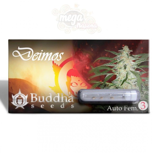 Buddha Seeds - Deimos Auto
