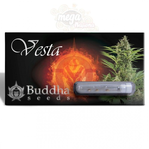 Buddha Seeds - Vesta Au