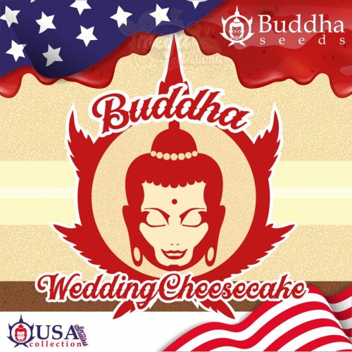 Buddha Seeds - Wedding Cheesecake
