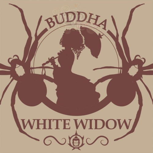 Buddha Seeds - White Widow