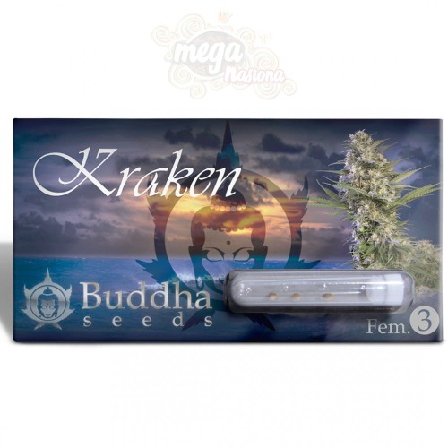 Buddha Seeds - Kraken