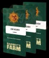 Barney's Farm - OG Kush
