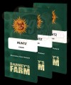 Barney's Farm - Runtz