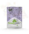FEMALESEEDS - White Widow x Big Bud