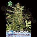 KERA SEEDS - N.L.X. Diamond Auto