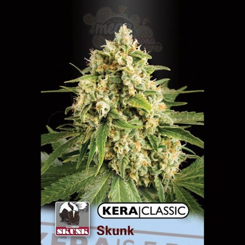 KERA SEEDS - Skunk