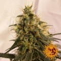 BARNEY’S FARM - Pineapple Chunk