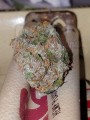 FASTBUDS - Girl Scout Cookies Auto (1)
