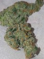 FASTBUDS - Girl Scout Cookies Auto (1)