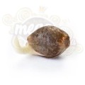 ROYAL QUEEN SEEDS - OG Kush (100pcs)