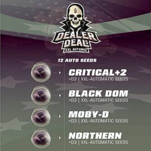 BSF Seeds - Dealer Deal XXL Automix (1)