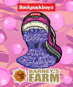 Barney's Farm - Bubblegum Gelato