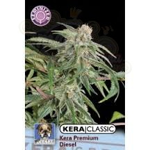 KERA SEEDS - Premium Diesel