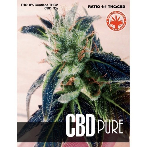 PURE SEEDS - CBD Pure