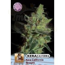 KERA SEEDS - California Nugget