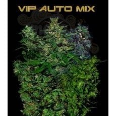 VIP SEEDS - VIP Auto Mix