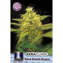 KERA SEEDS - Dutch Power 2.0