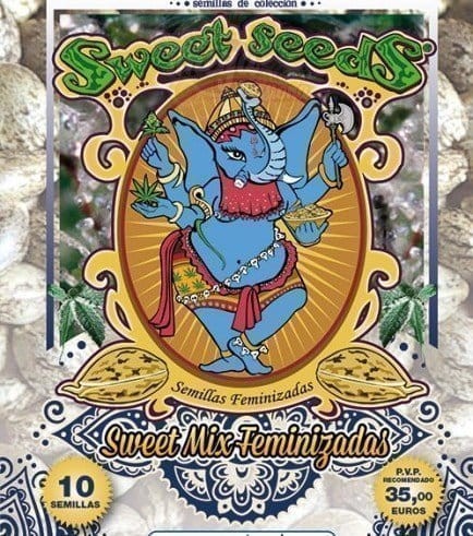SWEET SEEDS - Sweet Mix Feminizowany