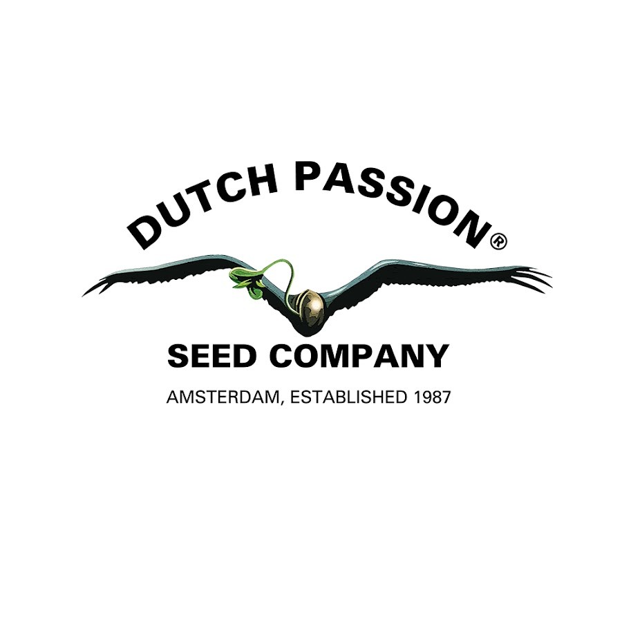 Dutch Passion