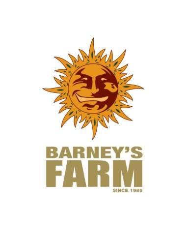 Barney's Farm – nasiona