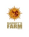 Barney's Farm – nasiona
