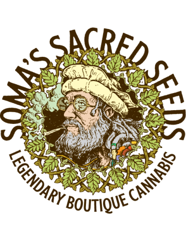 Soma Seeds