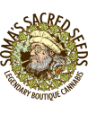 Soma Seeds