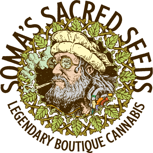 Soma Seeds