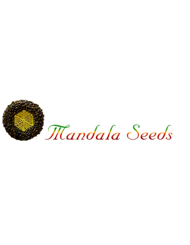 Mandala Seeds