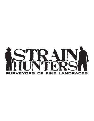 Strain Hunters