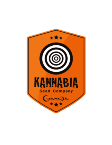 Kannabia Seed
