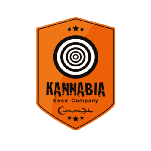 Kannabia Seed