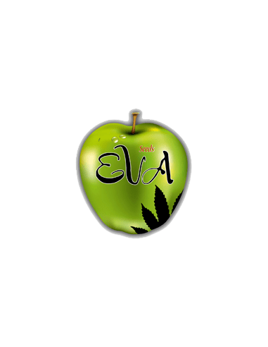 Eva Seeds