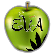 Eva Seeds