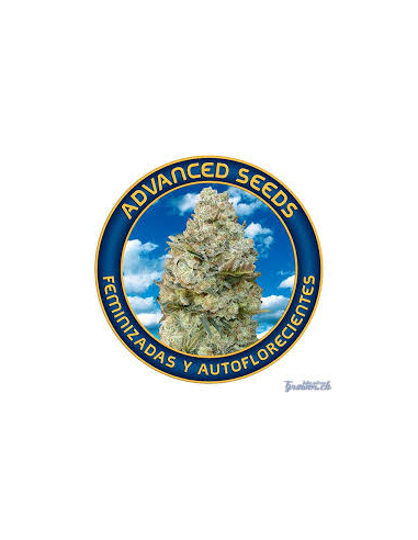 Advanced Seeds