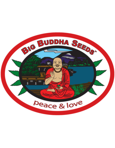 Big Buddha Seeds