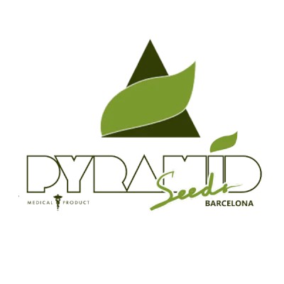 Pyramid Seeds