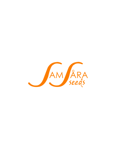 Samsara Seeds