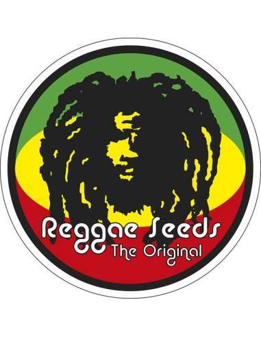 Reggae Seeds
