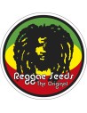 Reggae Seeds