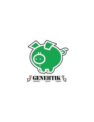 Genehtik